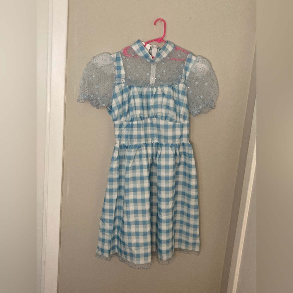 ROC Party Wizard of Oz Dorthey Dress